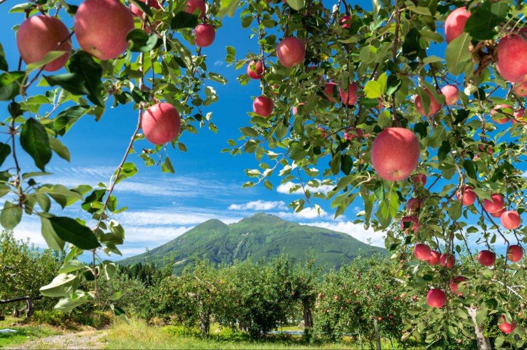 青森県での生活事情