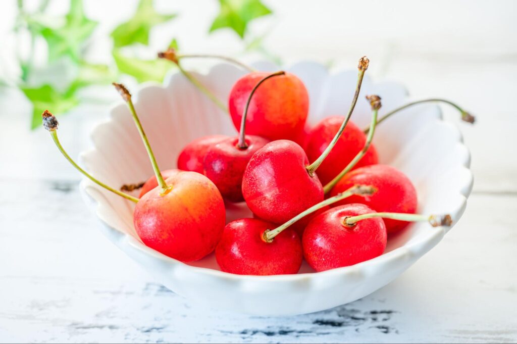 山形県での生活事情