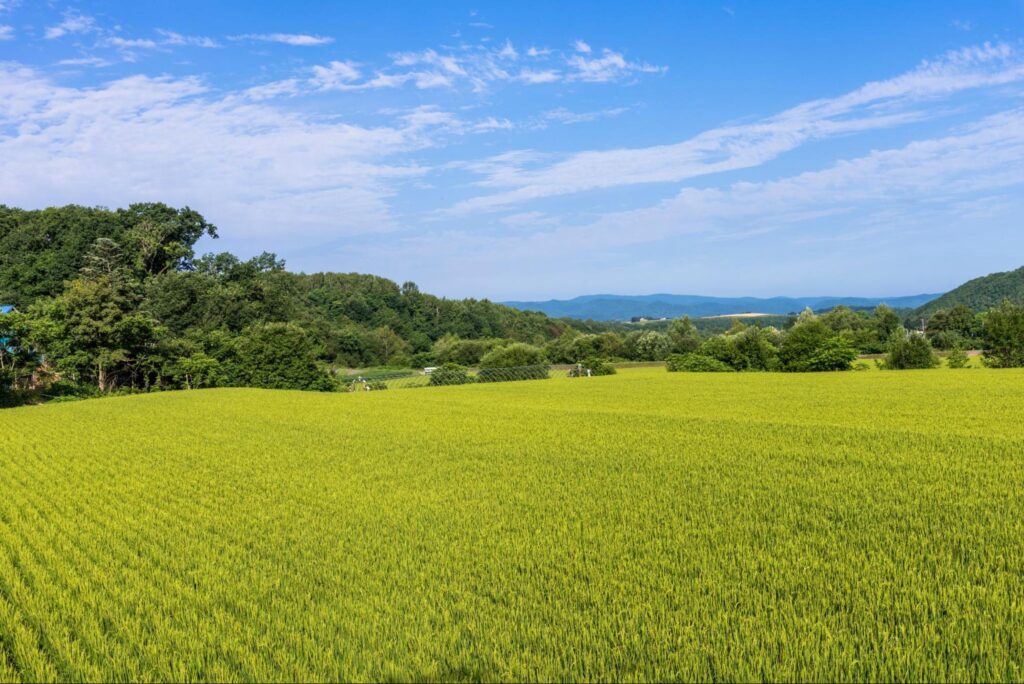 旭川市での生活事情